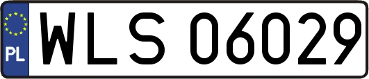 WLS06029