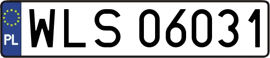 WLS06031
