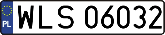 WLS06032