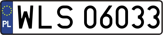 WLS06033