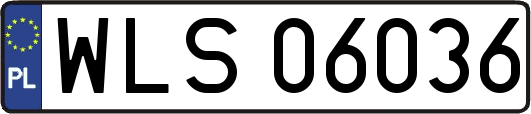WLS06036