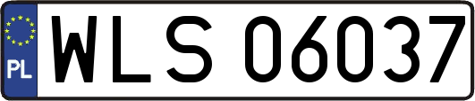 WLS06037