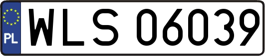 WLS06039
