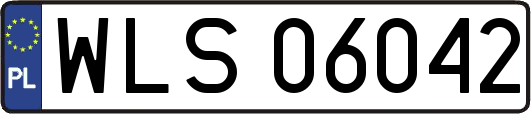 WLS06042