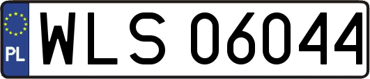 WLS06044