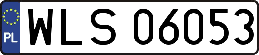 WLS06053