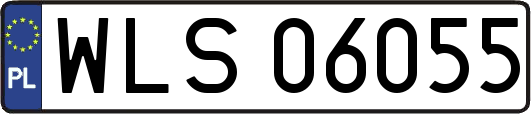 WLS06055