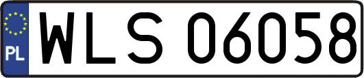 WLS06058