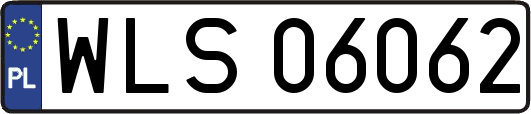 WLS06062