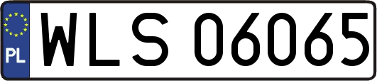 WLS06065