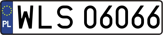 WLS06066