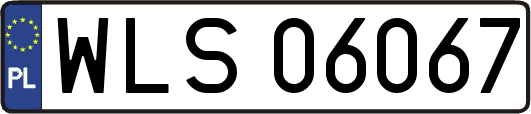 WLS06067