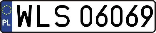 WLS06069
