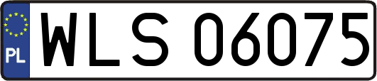 WLS06075
