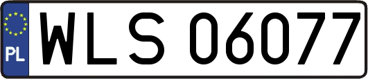 WLS06077