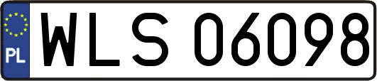 WLS06098
