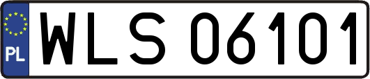 WLS06101