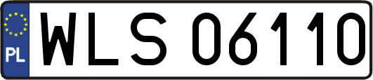WLS06110