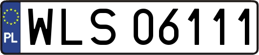 WLS06111