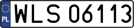 WLS06113