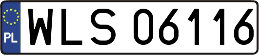 WLS06116