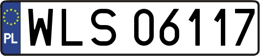 WLS06117