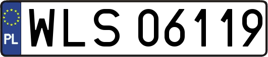 WLS06119