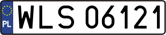 WLS06121