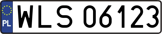 WLS06123