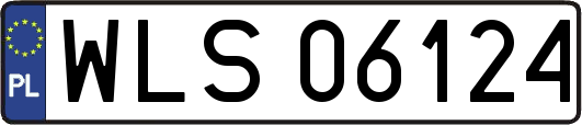 WLS06124