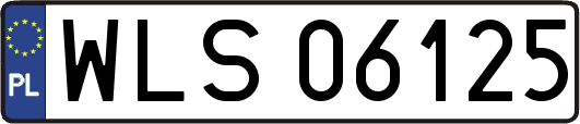 WLS06125