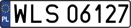 WLS06127