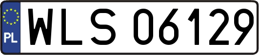 WLS06129