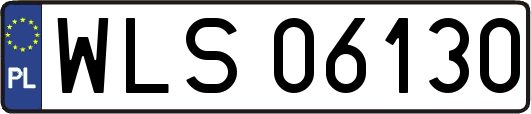 WLS06130
