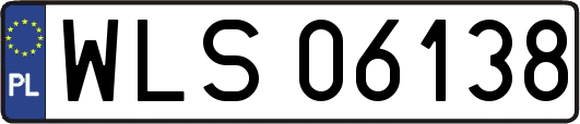 WLS06138