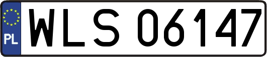 WLS06147