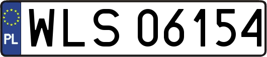 WLS06154