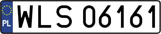 WLS06161