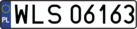 WLS06163