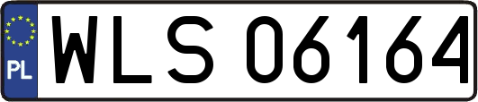 WLS06164