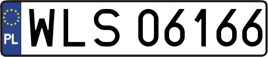 WLS06166
