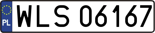 WLS06167