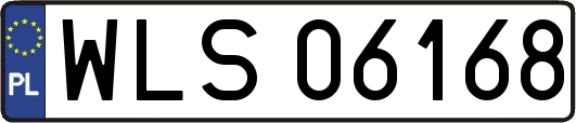 WLS06168