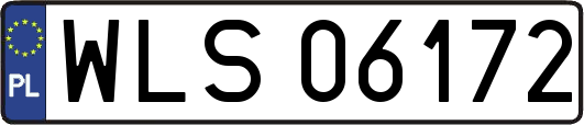 WLS06172