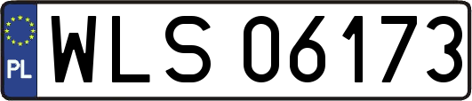 WLS06173