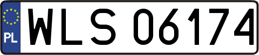 WLS06174