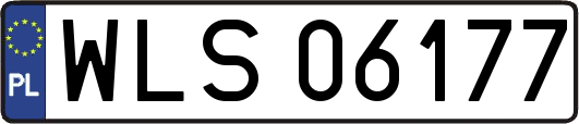 WLS06177