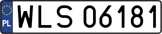 WLS06181