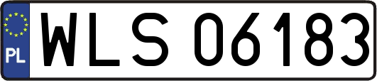WLS06183