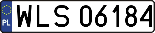 WLS06184